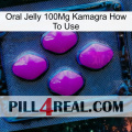 Oral Jelly 100Mg Kamagra How To Use 04